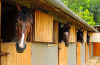 free Buxted stable construction quotes
